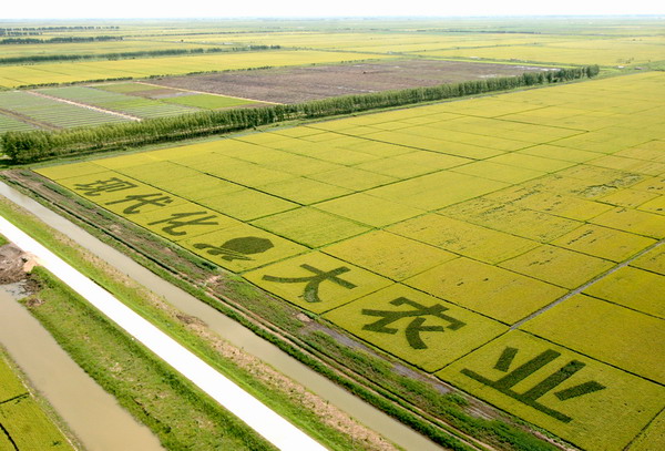 agriculture-blockchain